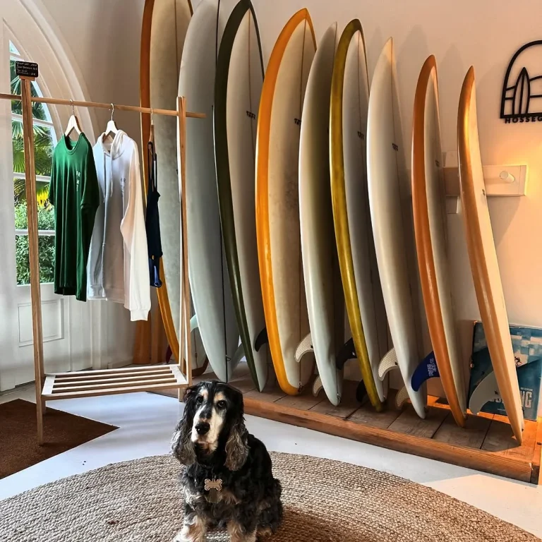 chien-hotel