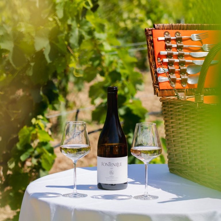 sejour-oenologique-provence-fontenille-luberon-vin-bio
