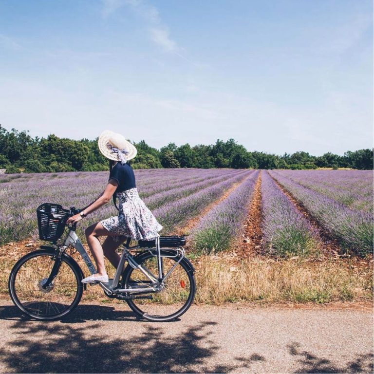 velo-lavande-luberon-provence-fontenille-collection
